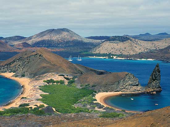 Galápagos 4