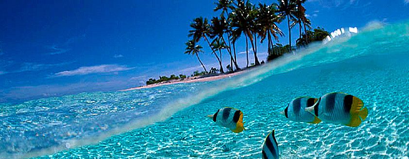 VIAJES PASAJES viajes pasajes: