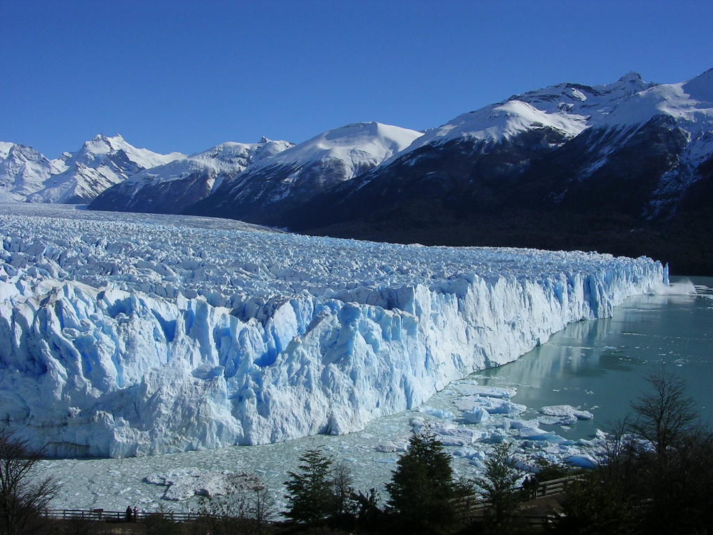 Calafate 3