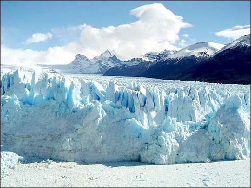 Calafate 6