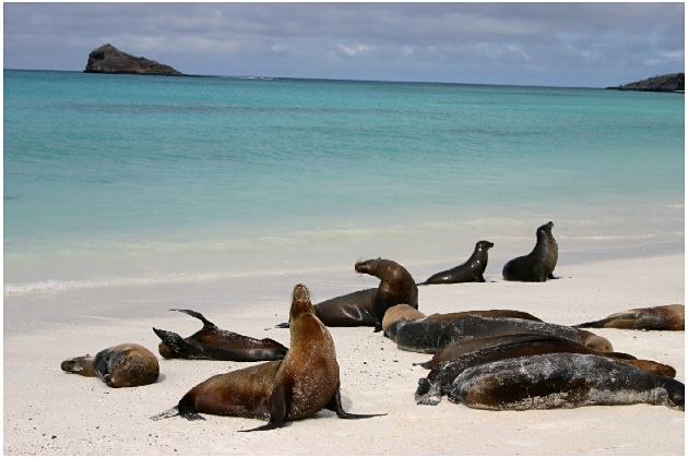 Galápagos 2