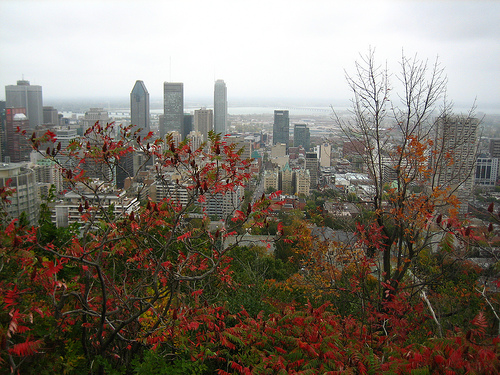 Montreal 3