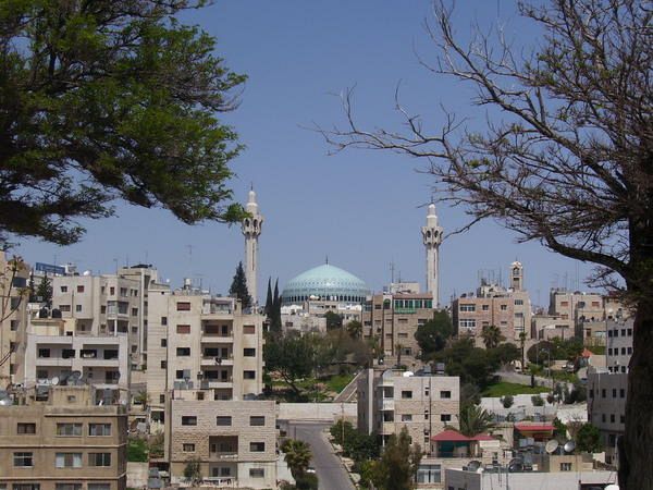 RAICES DE JORDANIA - 7 DÍAS