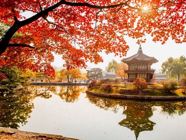 ***2026 - TESOROS DE COREA Y JAPON 19 DIAS - OCT